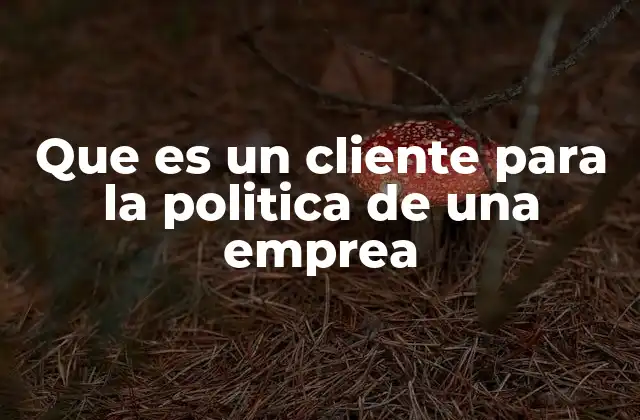 Que es un Cliente para la Politica de una Emprea 2 La importancia del cliente en la estrategia empresarial