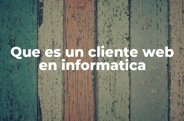 Que es un Cliente Web en Informatica