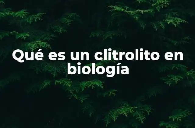 Qué es un Clitrolito en Biología