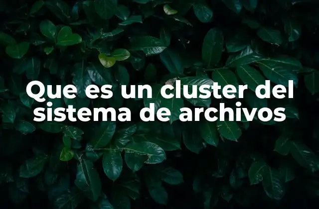 Que es un Cluster Del Sistema de Archivos