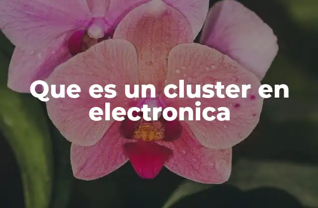 Que es un Cluster en Electronica