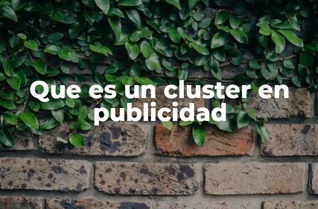 Que es un Cluster en Publicidad