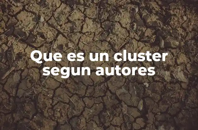 Que es un Cluster Segun Autores