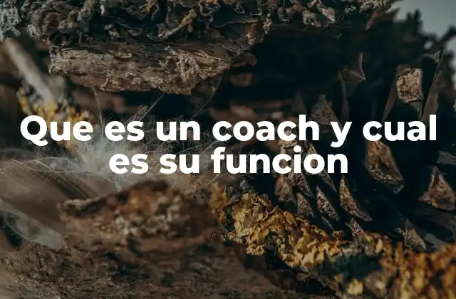 Que es un Coach y Cual es Su Funcion