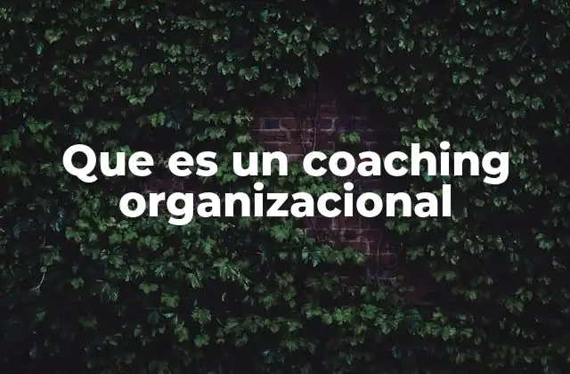 Que es un Coaching Organizacional