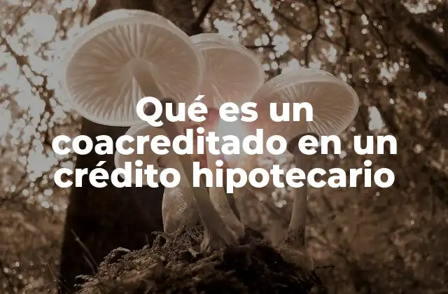Qué es un Coacreditado en un Crédito Hipotecario