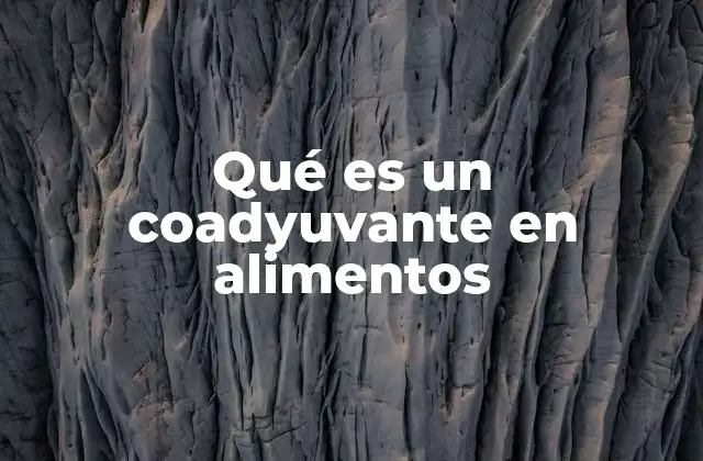 Qué es un Coadyuvante en Alimentos