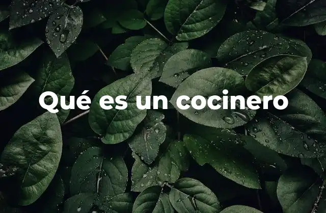 Qué es un Cocinero