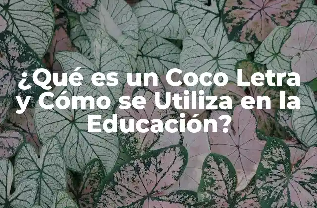 ¿qué es un Coco Letra y Cómo Se Utiliza en la Educación?