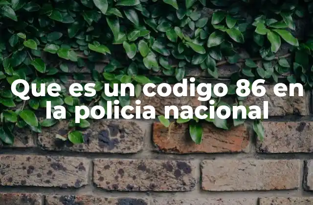 Que es un Codigo 86 en la Policia Nacional