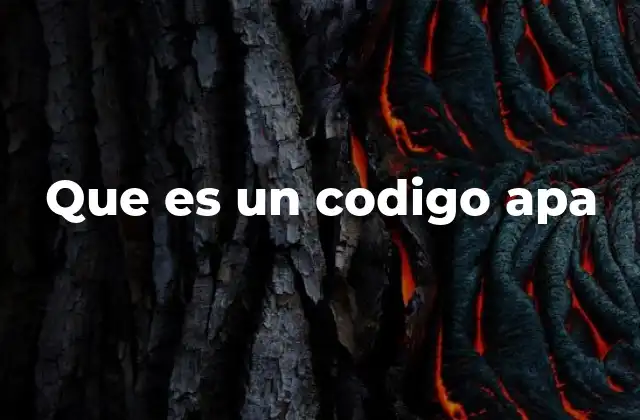 Que es un Codigo Apa