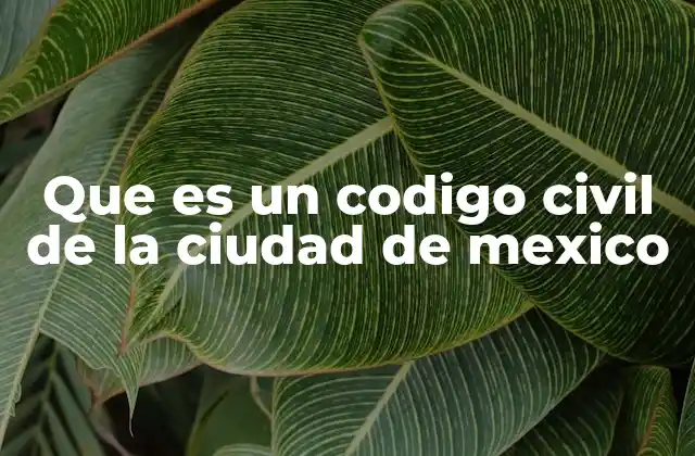 La importancia del derecho civil en una urbe moderna