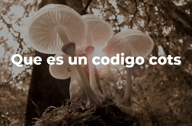 Que es un Codigo Cots