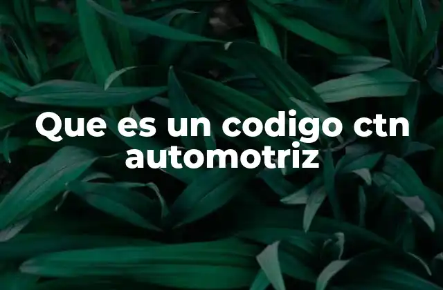 Que es un Codigo Ctn Automotriz