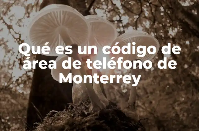Qué es un Código de Área de Teléfono de Monterrey