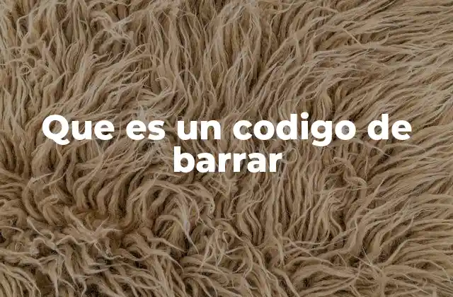 Que es un Codigo de Barrar