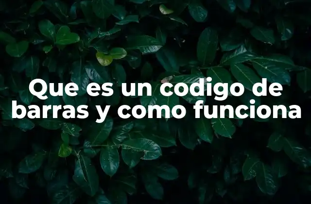 Que es un Codigo de Barras y como Funciona