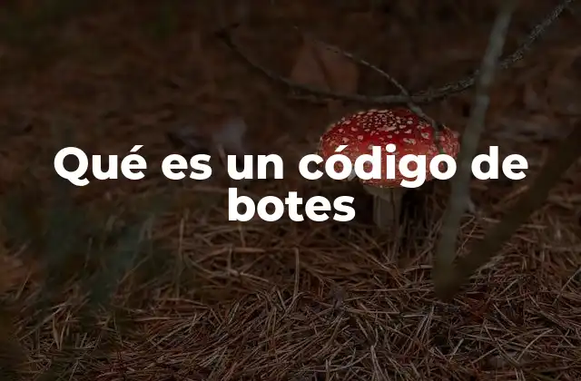 Qué es un Código de Botes