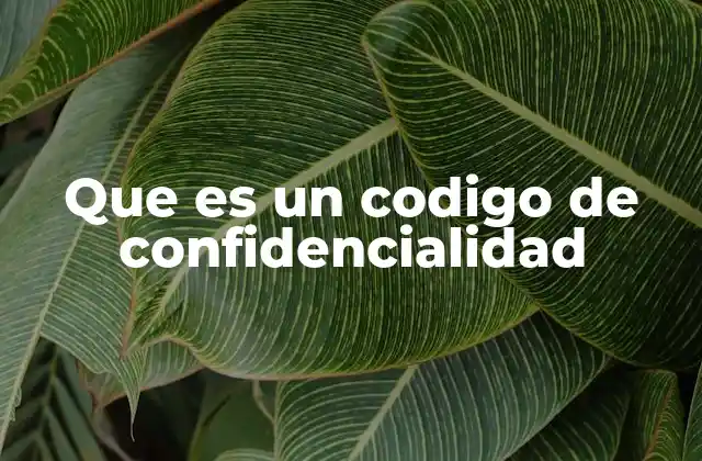 Que es un Codigo de Confidencialidad