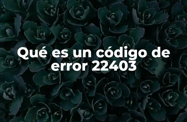 Qué es un Código de Error 22403