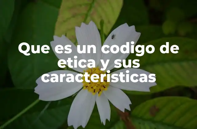 Que es un Codigo de Etica y Sus Caracteristicas