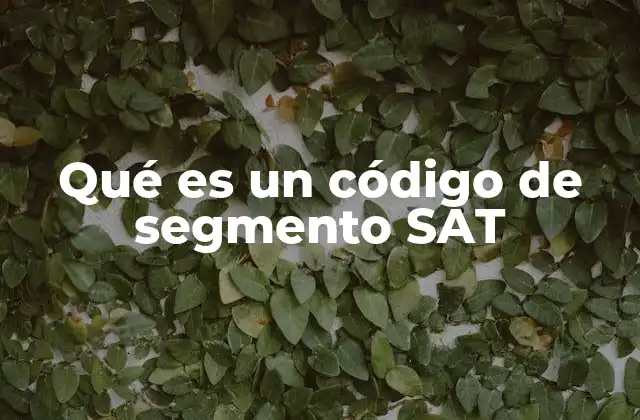Qué es un Código de Segmento Sat
