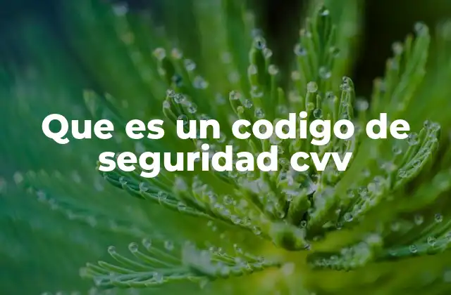 Que es un Codigo de Seguridad Cvv