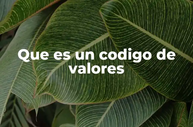 Los fundamentos que sustentan un código de valores
