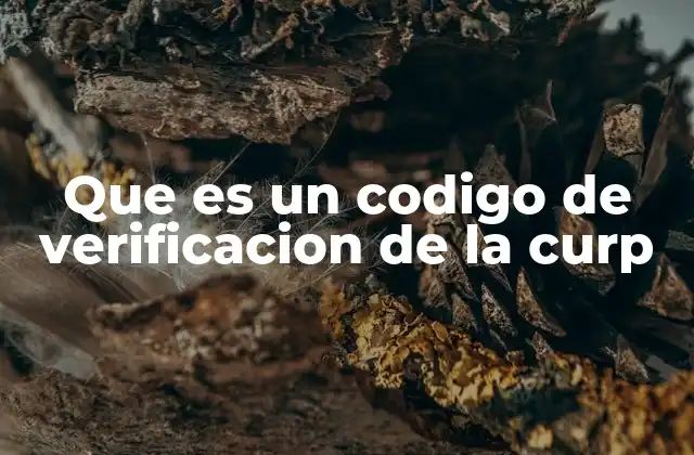 Que es un Codigo de Verificacion de la Curp 2 La importancia de la seguridad en los registros oficiales