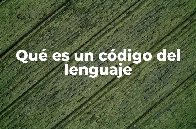Qué es un Código Del Lenguaje