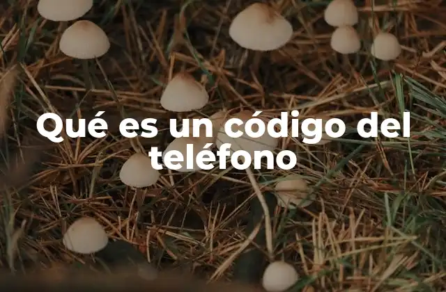 Qué es un Código Del Teléfono