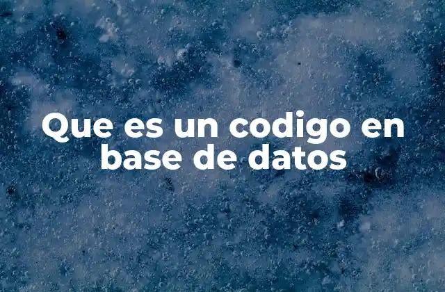 Que es un Codigo en Base de Datos