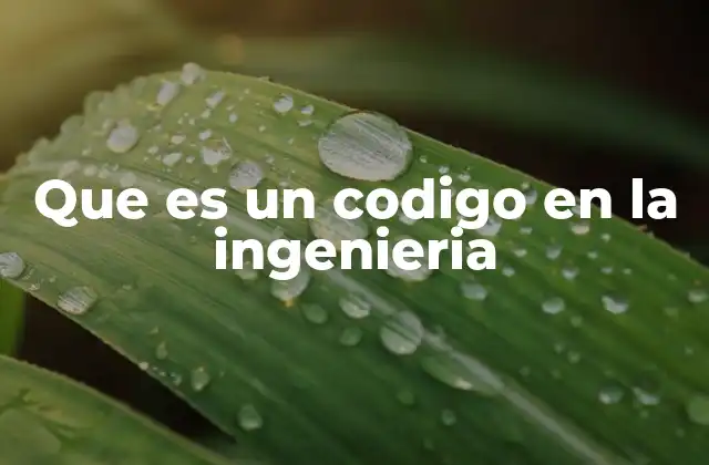 Que es un Codigo en la Ingenieria