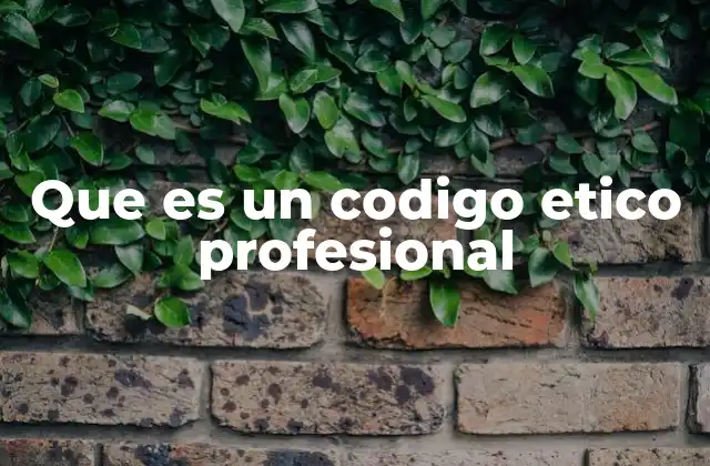 Que es un Codigo Etico Profesional