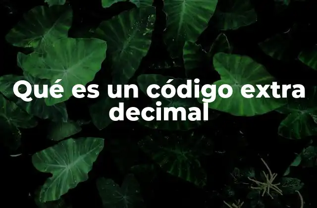 Qué es un Código Extra Decimal