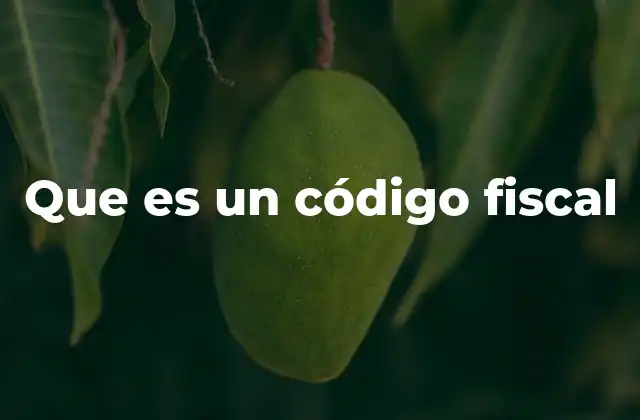 Que es un Código Fiscal