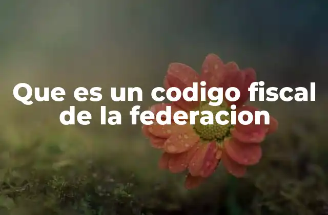 Que es un Codigo Fiscal de la Federacion