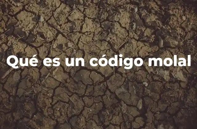 Qué es un Código Molal