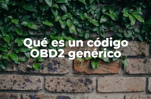 Qué es un Código Obd2 Genérico