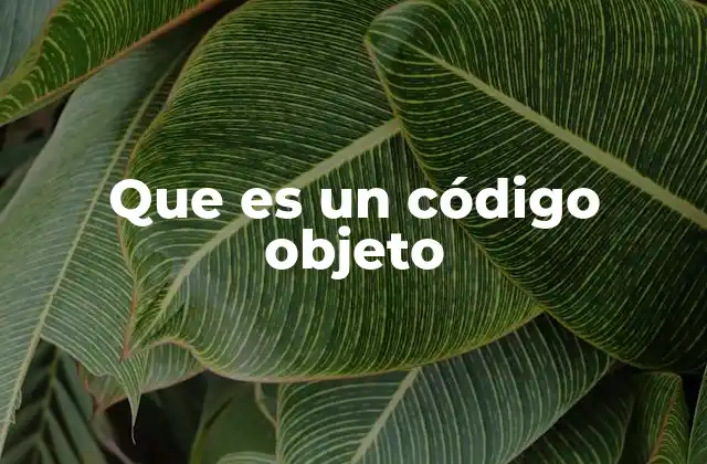 Que es un Código Objeto