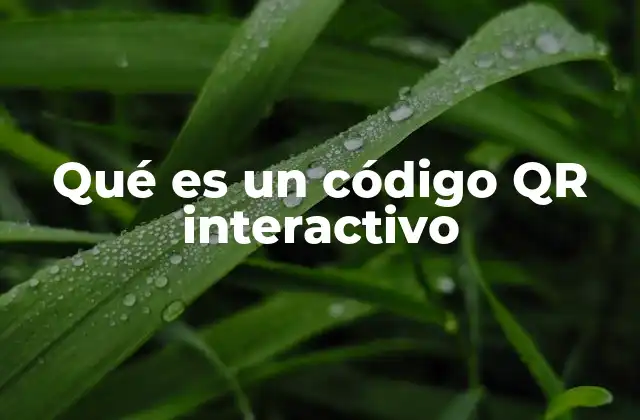 Qué es un Código Qr Interactivo