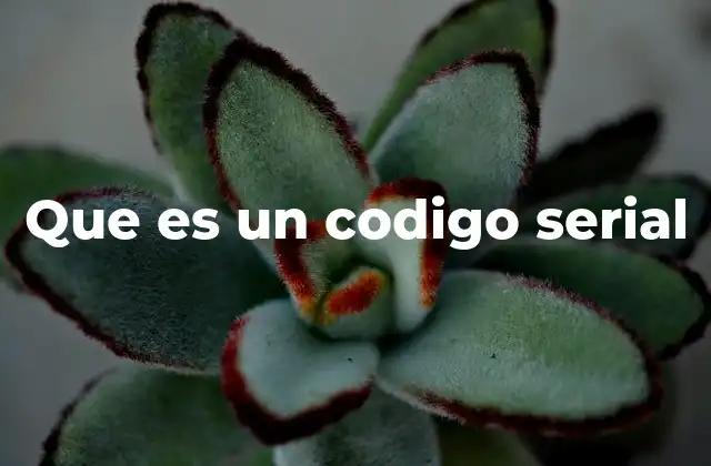 Que es un Codigo Serial
