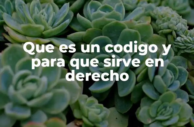 Que es un Codigo y para que Sirve en Derecho