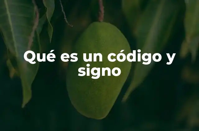 Qué es un Código y Signo