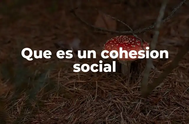 Que es un Cohesion Social