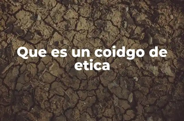 Que es un Coidgo de Etica