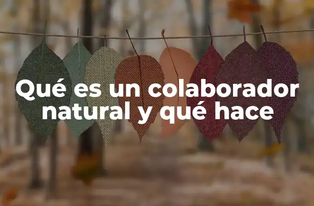 Qué es un Colaborador Natural y Qué Hace