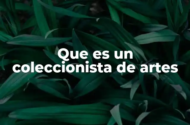 Que es un Coleccionista de Artes
