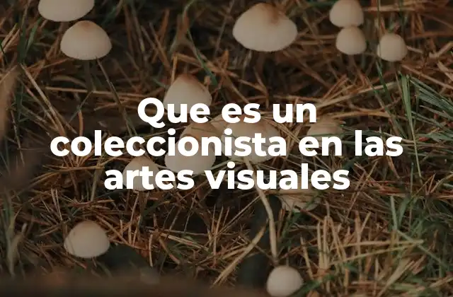 Que es un Coleccionista en las Artes Visuales