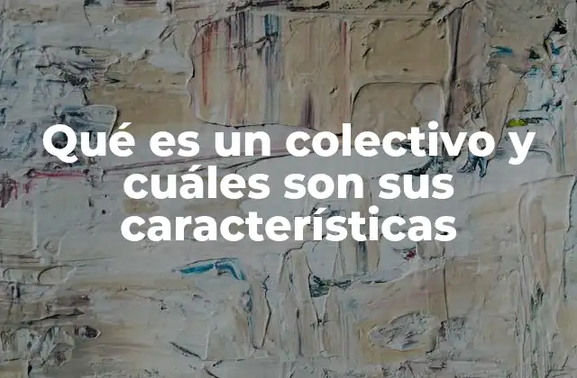 Qué es un Colectivo y Cuáles Son Sus Características